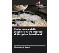 Performance delle piccole e micro imprese di Hargeisa Somaliland
