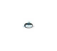 Performance in lighting 005730 Chip ovale 25 grill nera 2x9w