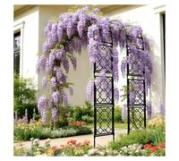 Pergolato da giardino a mezzo arco, traliccio per rose da esterno per piante rampicanti, supporto decorativo per piante floreali per patio, cortile, prato e cortile