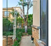 Pergolato da giardino in metallo ad arco per piante rampicanti, pergolato bianco per cortile e patio, 1,8 x 2,4 m, design a metà lato, perfetto per rose e viti