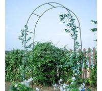 Pergolato in metallo - Arco da giardino antiruggine e per piante rampicanti e matrimonio Dets stabile graticcio con base verde scuro (LxA: 260 x 230 cm)