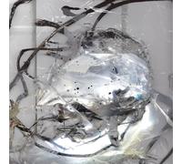 Perila - How Much Time It Is Between You And Me?