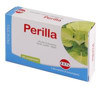 PERILLA ESTR SEC 60CPR 18G