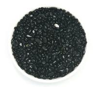 Perline di pietre preziose naturali da 20-100 g, pietre levigate per piante, cactus e piante grasse, riempitivo per vasi, decorazione per il fondo del paesaggio, 3-5 mm, ossidiana dorata, 50 g