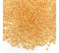 Perline di semi di vetro Perline di semi piccole 2mm 1200pz Perline di semi di vetro Ciondoli per la creazione di gioielli Fai da te Accessori per braccialetti fatti a mano Perline distanziatrici pia