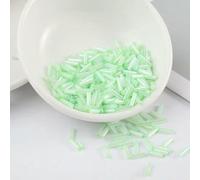 Perline di tubo tromba vetro, distanziatore, 200 pezzi trasparenti 2 * 6mm nucleo d'argento semi cechi ricamo gioielli accessori abbigliamento fai da te(Mint Green)