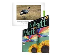 Permajet MattPlus 240 carta fotografica Bianco Opaco A3+