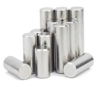 Perni cilindrici di posizionamento in acciaio inossidabile 304 | Dimensioni multiple(16mm,M8 x2pcs)