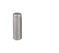 Perni cilindrici in nichel lucido, Spine Cilindriche In Acciaio Inossidabile 304 M10x16-100mm Argento Bianco GB119 Confezione Da 1-5 Pz(30mm (5pcs))