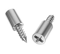 Perni for mensole e picchetti di supporto 200 pezzi Viti autofilettanti Staffa for armadio Borchie in vetro laminato Chiodi divisori antiscivolo