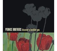 Pernice Brothers - Discover A Lovelier You