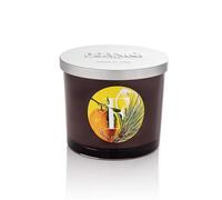 PERNICI Elementi Citrus Fruits & Vetiver Candela 200 g
