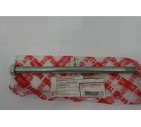 Perno Asse ruota posteriore Rear wheel axle Aprilia Classic 50 92-99