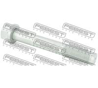 FEBEST 0198-009 Perno fissaggio, Braccio oscillante
