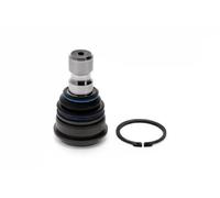 Perno braccio oscillante 41283 SIDEM per NISSAN RENAULT