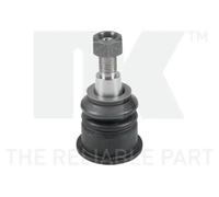 Perno braccio oscillante 5041530 NK