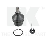 Perno braccio oscillante 5042250 NK