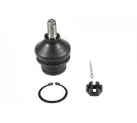 Perno braccio oscillante 5042250 NK