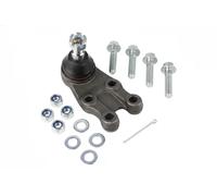 NK Testina braccio oscillante anteriore 5043413 per Hyundai H-1 / Starex H-1 Cargo