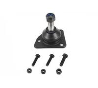 Perno braccio oscillante 5043902 NK per RENAULT 4 5 6