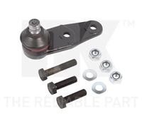Perno braccio oscillante 5043919 NK per RENAULT NISSAN