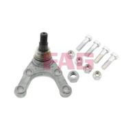FAG 825 0029 10 Testina braccio oscillante