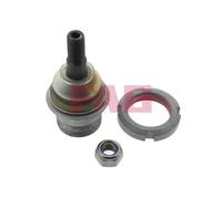 Perno braccio oscillante 825 0079 10 FAG per MERCEDES-BENZ CLASSE M