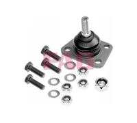 Perno braccio oscillante 825 0181 10 FAG per PEUGEOT CITROËN FIAT