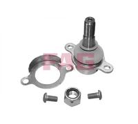 FAG 825 0273 10 Testina braccio oscillante
