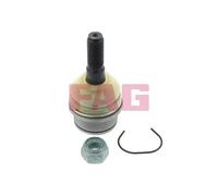 Schaeffler Perno braccio oscillante 825 0354 10 FAG per VW Transporter T4 Autobus