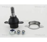 TRISCAN 8500 165021 Testina braccio oscillante