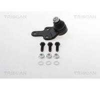 Perno braccio oscillante 8500 165033 TRISCAN per FORD