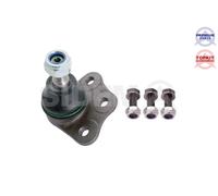 Perno braccio oscillante Assale anteriore 19189 SIDEM per FIAT PALIO ALBEA