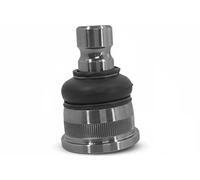Sasic Testina braccio oscillante 4005276 per Renault, Opel, Nissan (Master II)