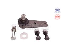Perno braccio oscillante Assale anteriore 5580 SIDEM per RENAULT NISSAN DACIA