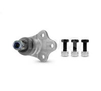 Perno braccio oscillante Assale anteriore 65181 SIDEM per LAND ROVER