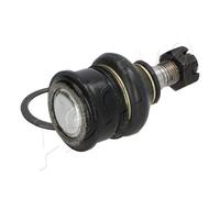 Perno braccio oscillante Assale anteriore 73-01-105 ASHIKA per NISSAN MICRA II