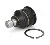ASHIKA Giunto supporto guida 73-01-106 anteriore