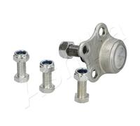 Perno braccio oscillante Assale anteriore 73-01-121 ASHIKA per RENAULT NISSAN