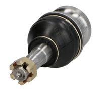 Giunto di supporto / guida - ASHIKA 73-07-798