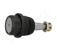 Ashika Ashika 73-09-900