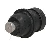 Perno braccio oscillante Assale anteriore 73-0C-C06 ASHIKA per CHRYSLER