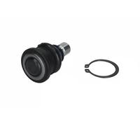 Perno braccio oscillante Assale anteriore 9040044 KAMOKA per FORD MAZDA