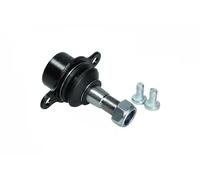 Perno braccio oscillante Assale anteriore 9040063 KAMOKA per FORD