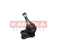 Perno braccio oscillante Assale anteriore 9040113 KAMOKA per RENAULT LAGUNA III