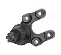 Ashika Ashika 73-01-102