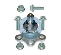 Perno braccio oscillante Assale anteriore bilaterale 93-00554-056 RTS per DS