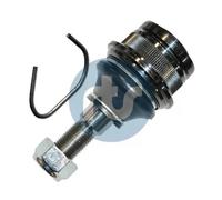 RTS 93-00950 Testina braccio oscillante