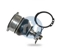Perno braccio oscillante Assale anteriore bilaterale 93-06609 RTS per HONDA