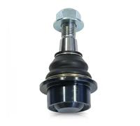 Perno braccio oscillante Assale anteriore bilaterale 93-16541 RTS per CHEVROLET
